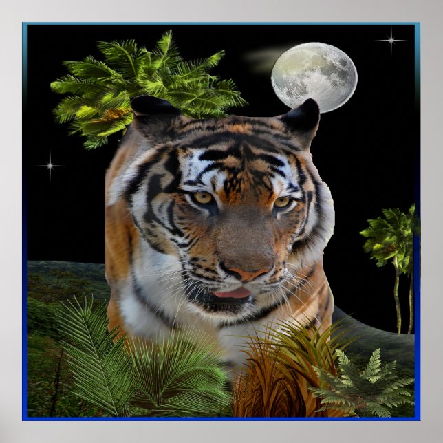 Tiger Poster (Framsidan)