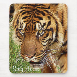 Tiger Power_ Mousepad Musmatta
