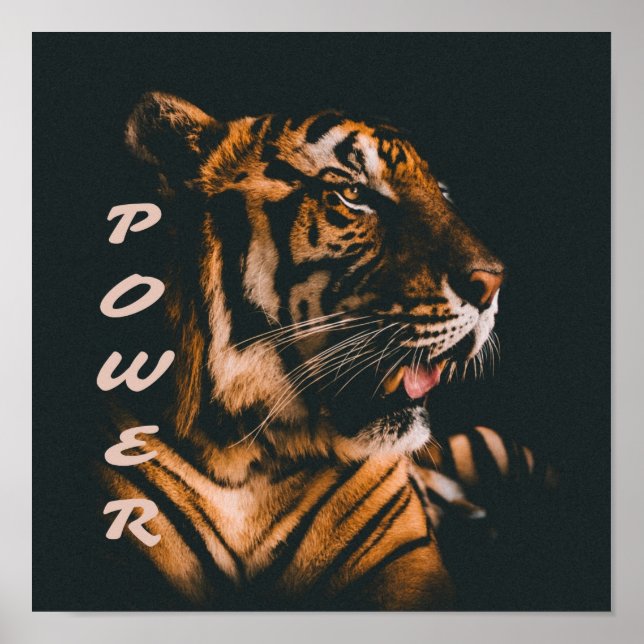 Tiger Power Rand Fierce Motivational Poster (Framsidan)