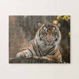 Tiger Pussel
