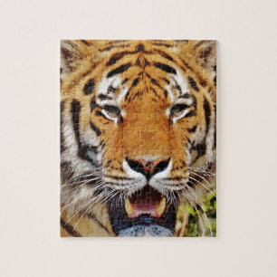Tiger Pussel