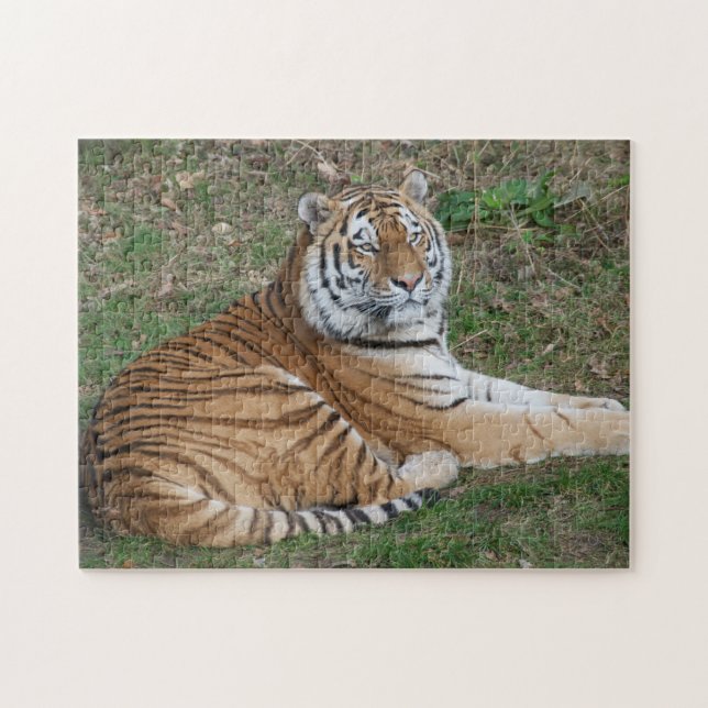 Tiger puzzel pussel (Horisontell)