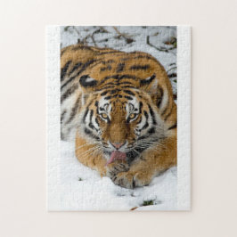 Tiger Puzzle Pussel