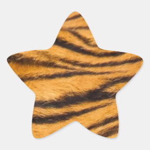 Tiger Rand Päls Black och Orange Anpassa det Stjärnformat Klistermärke