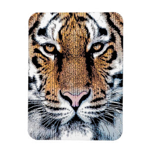 Tiger rand Porträtt i Graphic Press Stil Magnet