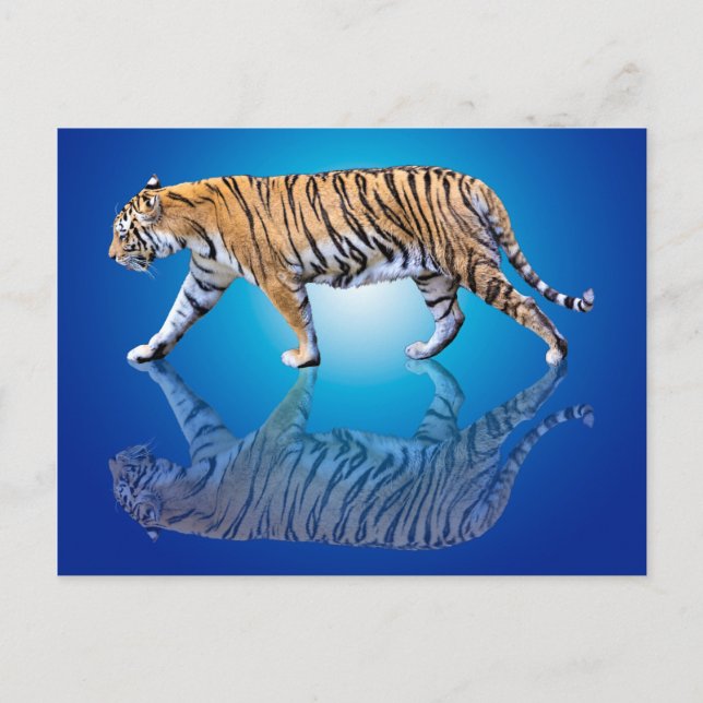 TIGER REFLEKTERAD VYKORT (Framsida)