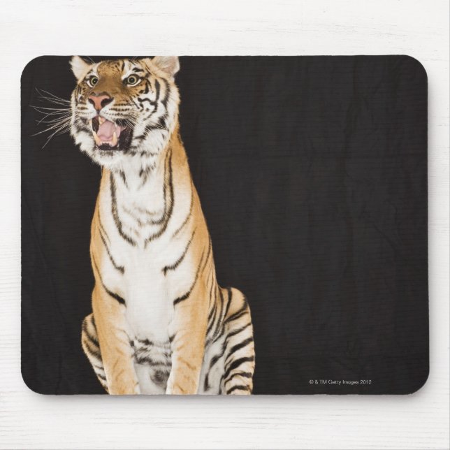 Tiger rosing musmatta (Framsidan)