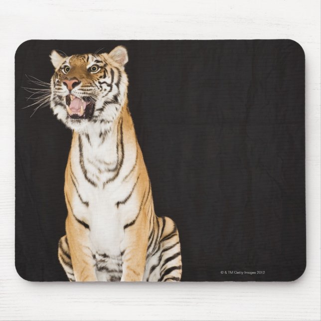 Tiger rosing musmatta (Framsidan)