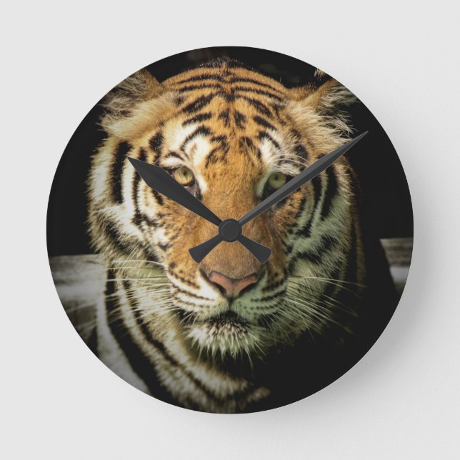 tiger rund klocka (Framsida)