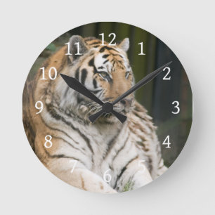Tiger Rund Klocka