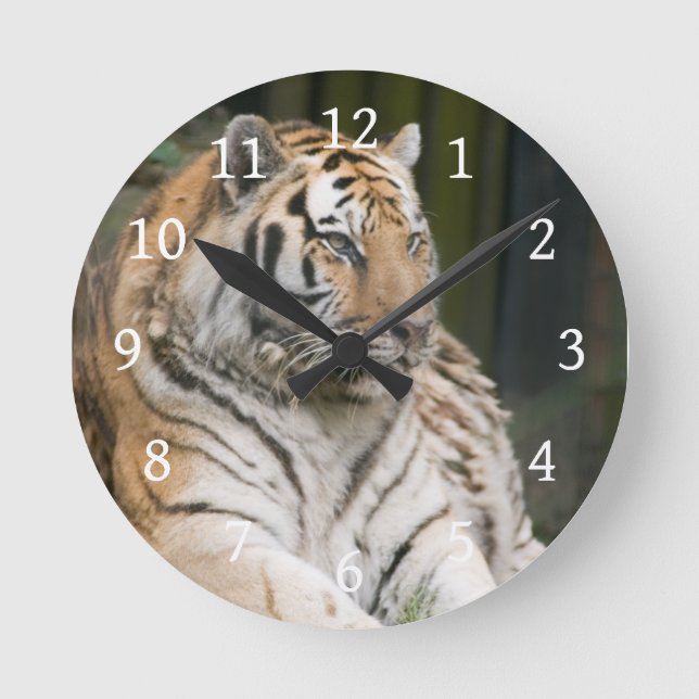 Tiger Rund Klocka (Framsida)