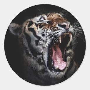 Tiger Runt Klistermärke
