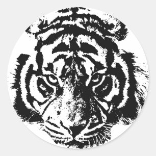 Tiger Runt Klistermärke