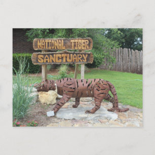 Tiger Sanctuary Sign Vykort