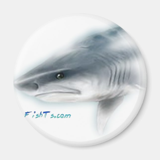 Tiger Shark Head Magnet (Framsidan)