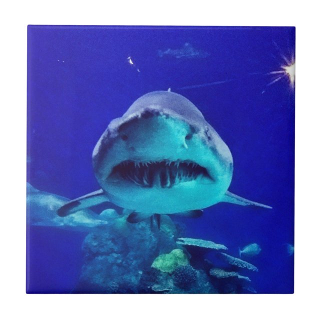 Tiger Shark Kakelplatta (Framsidan)