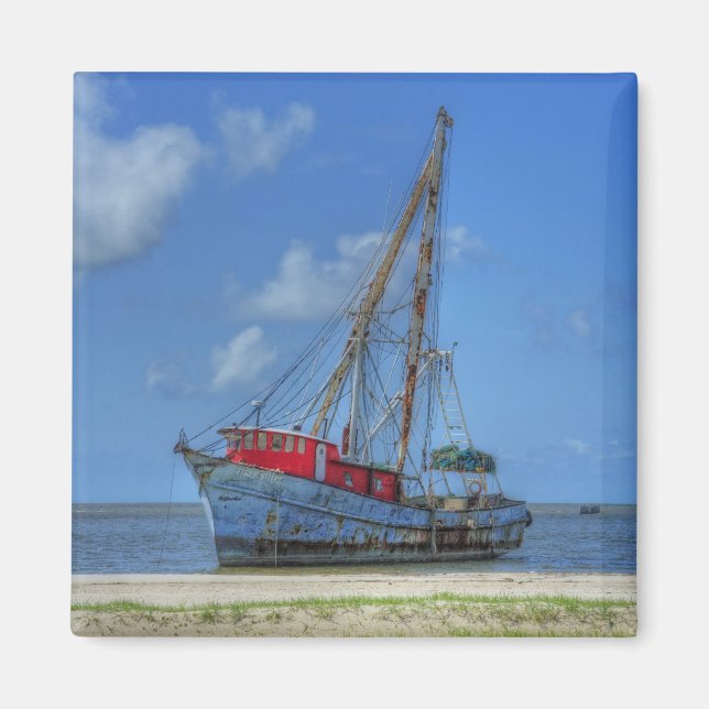 Tiger Shark Magnet (Framsidan)