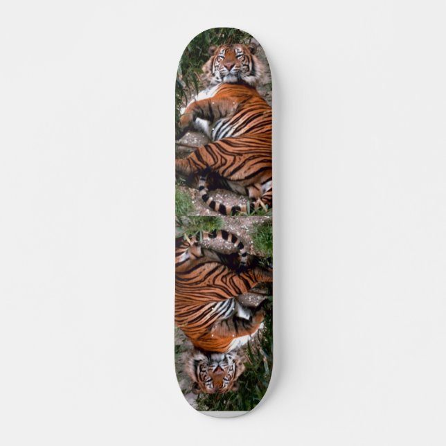 Tiger Skateboard (Framsida)