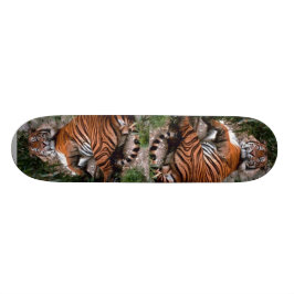 Tiger Skateboard Bräda 19,5 Cm