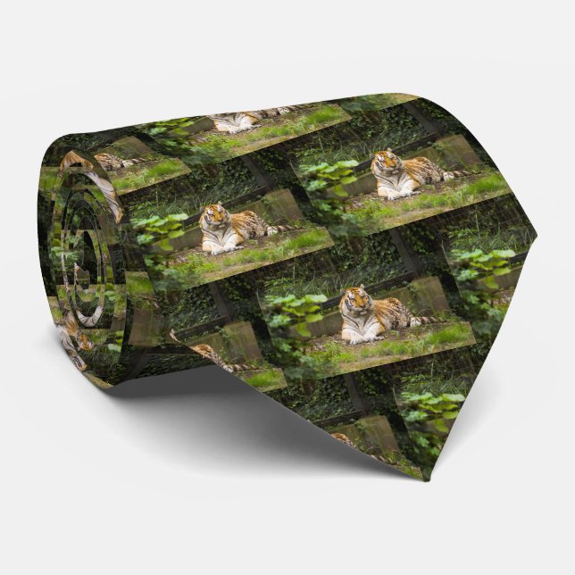 Tiger Slips (Rullad)