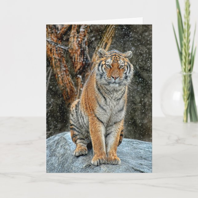 Tiger Snö-Helgdag fallkort Helgkort (Framsida)