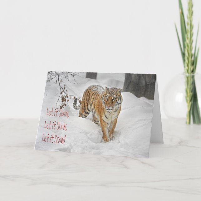 Tiger Snö Väg Helgkort (Framsida)