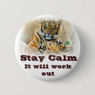 Tiger,Sökande_ Knapp