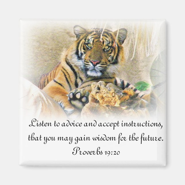 Tiger,Sökande_ Magnet (Framsidan)