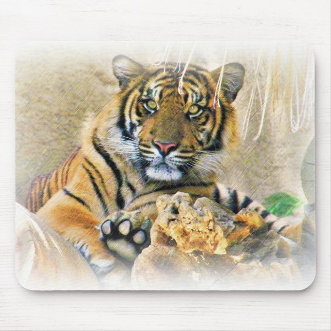 Tiger,Sökande_ Musmatta (Framsidan)