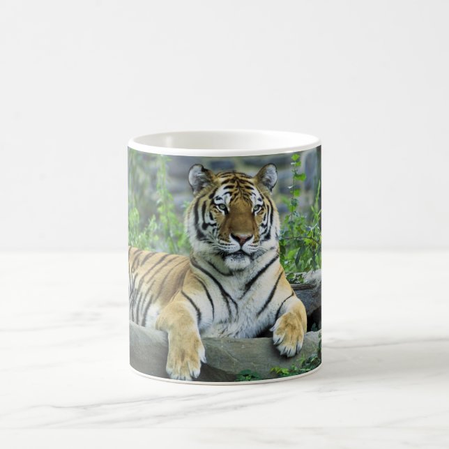 Tiger som är siberian kaffemugg (Center)
