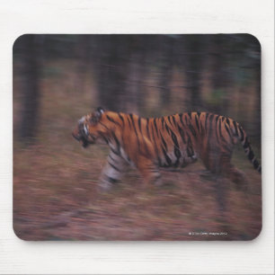 Tiger som går till och med skog musmatta