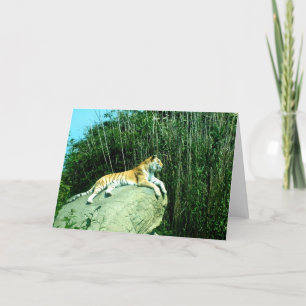 Tiger som slappnar av  helgkort