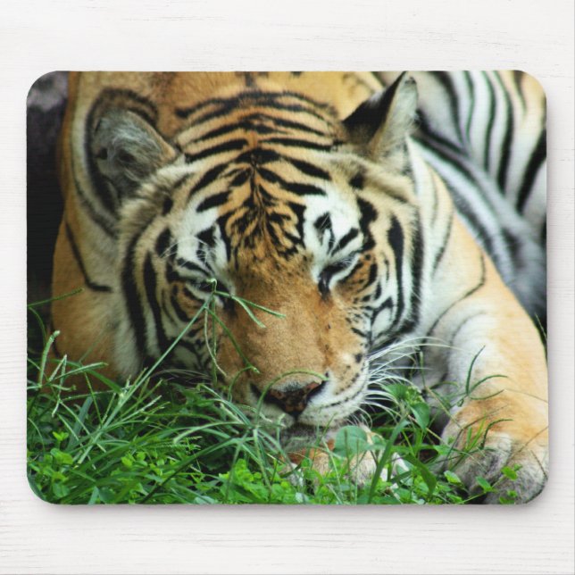Tiger som sovar i gräs Mousepad Musmatta (Framsidan)