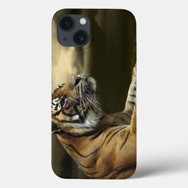 Tiger som tittar, och sitta under dramatisk himmel (Baksida)