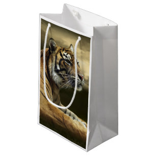 Tiger som tittar, och sitta under dramatisk himmel