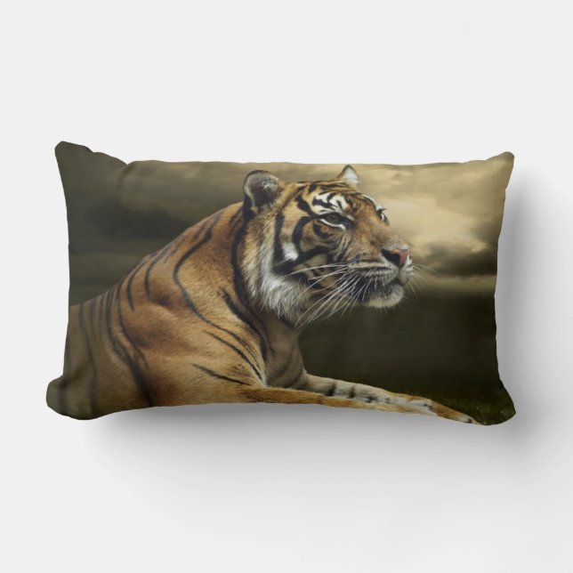 Tiger som tittar, och sitta under dramatisk himmel lumbarkudde (Framsida)