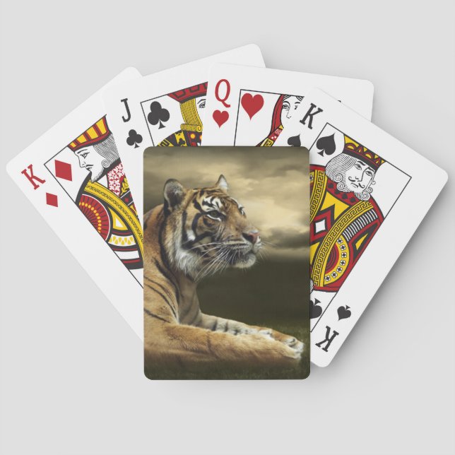 Tiger som tittar, och sitta under dramatisk himmel spelkort (Baksidan)