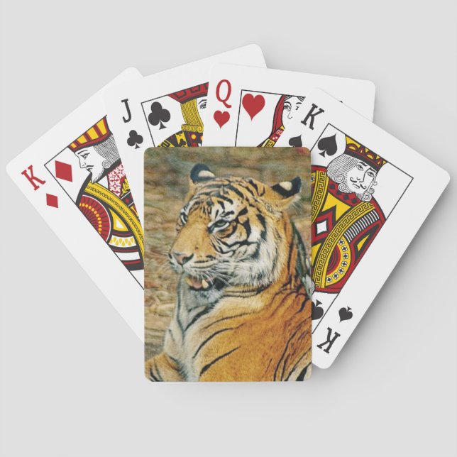 Tiger Spel Kort (Baksidan)