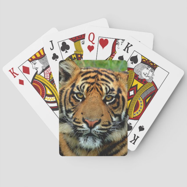 Tiger Spel Kort (Baksidan)