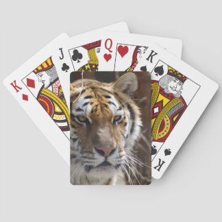 Tiger Spelkort