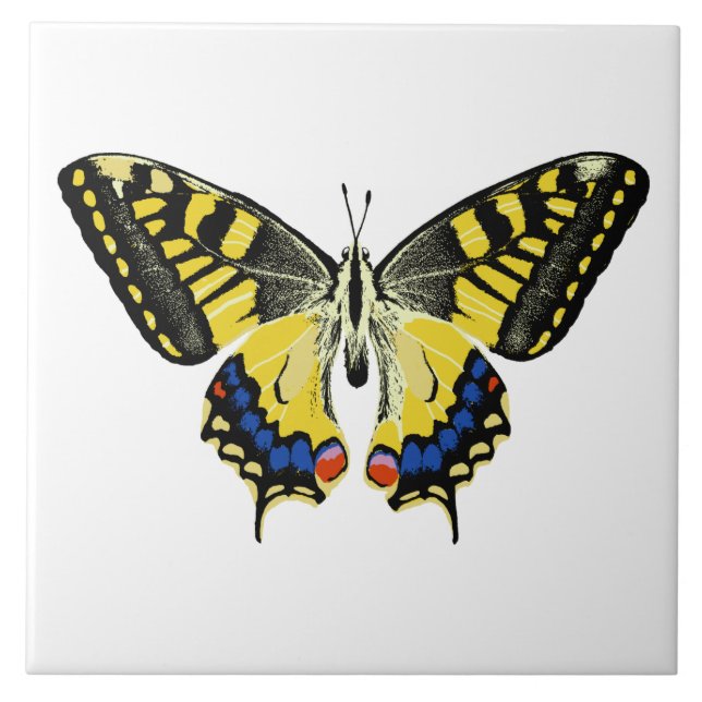 Tiger spp. kakelplatta (Framsidan)