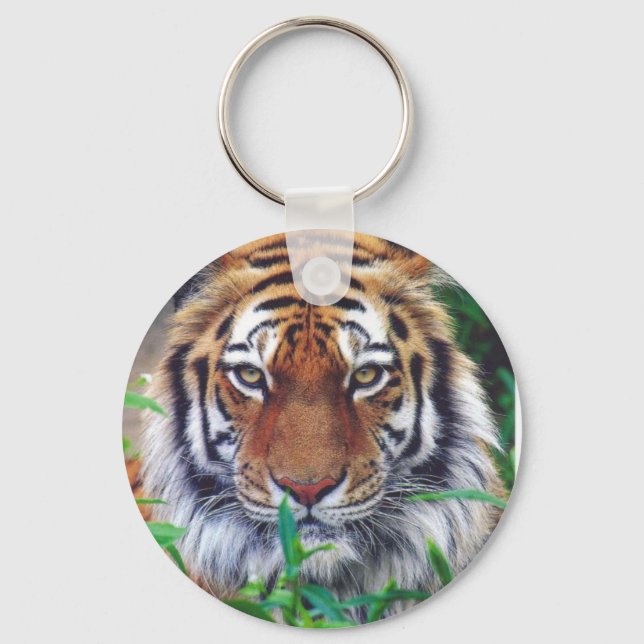 Tiger Stare Nyckelring (Framsida)