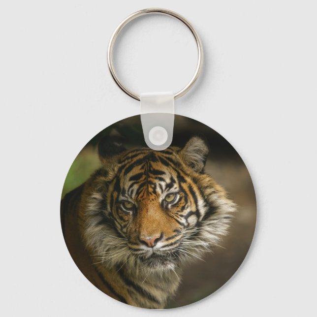 Tiger Stare Nyckelring (Framsida)