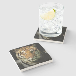 tiger stenunderlägg