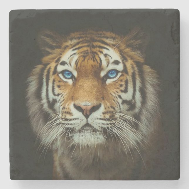 Tiger Stenunderlägg (Framsidan)