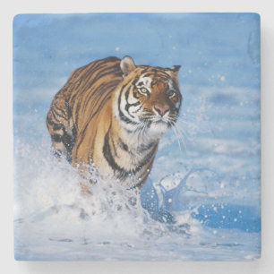 Tiger Stone Underlägg Sten
