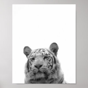 Tiger Svart Vit  Stuga Barnkammare Fotoaffisch Poster