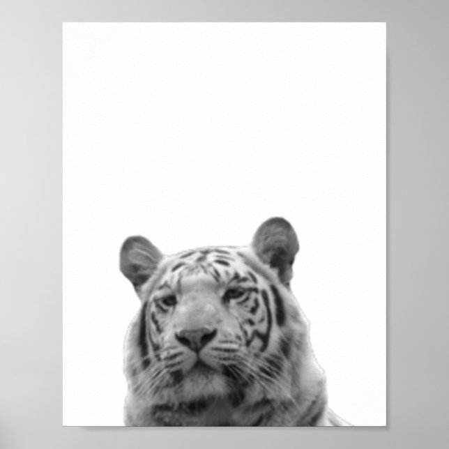 Tiger Svart Vit  Stuga Barnkammare Fototavla Poster (Framsidan)