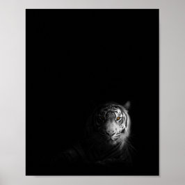 Tiger, svartvit fotografi, poster