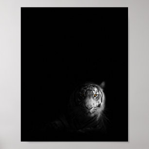 Tiger, svartvit fotografi, poster